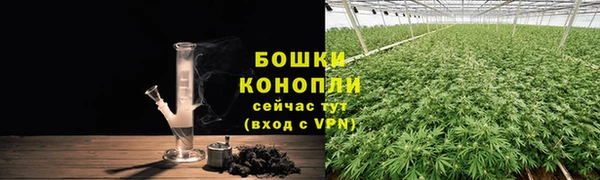 каннабис Белокуриха