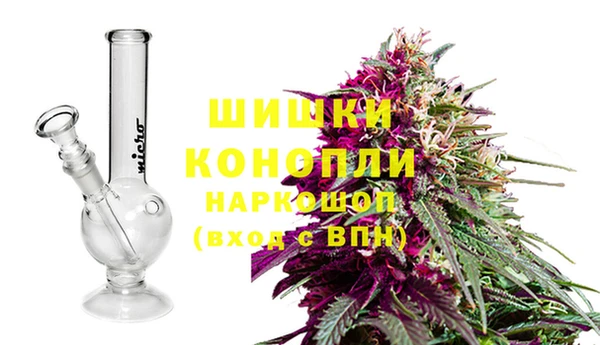 каннабис Белокуриха