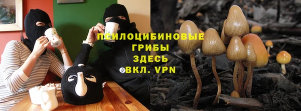 стаф Беломорск