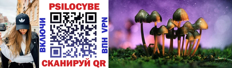 Купить где Онега Псилоцибиновые грибы ЛСД